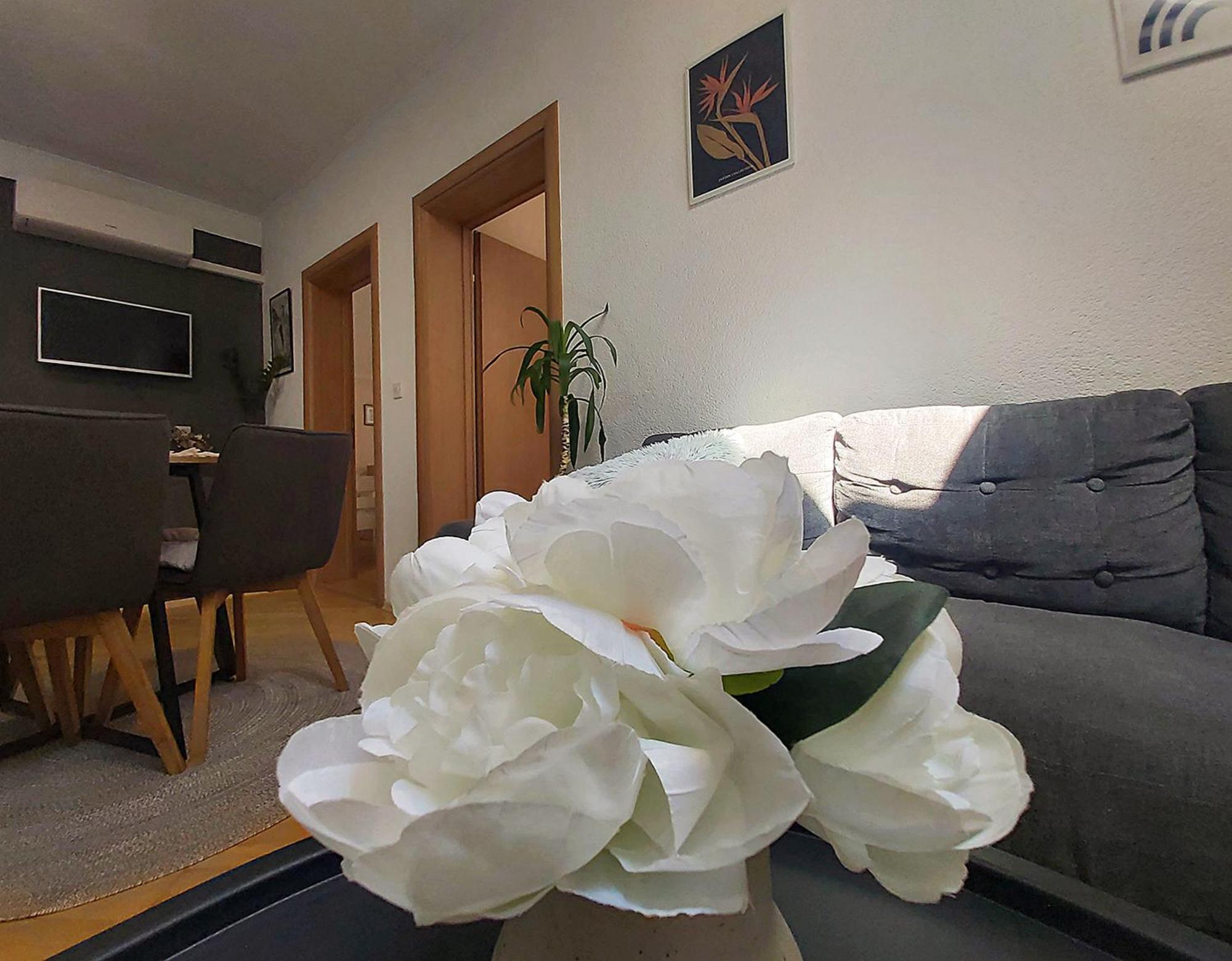 Zara Apartment With Terrace Near Old Town 모스타르 외부 사진